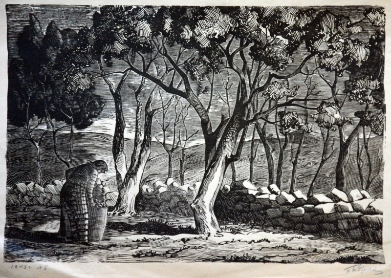 Тінь, лінія, структура: мова графічного образу